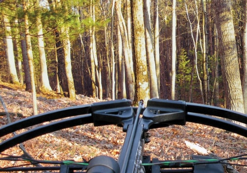 What are the best crossbows for 2020?